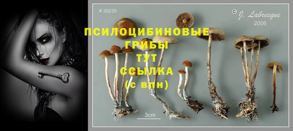 кокаин премиум Гусь-Хрустальный