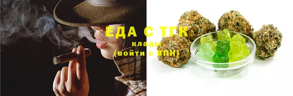 стафф Гусев
