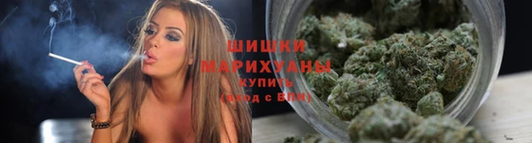стафф Гусев