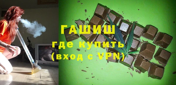стафф Гусев