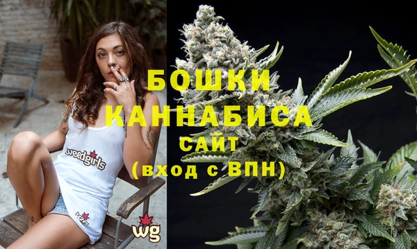 стафф Гусев