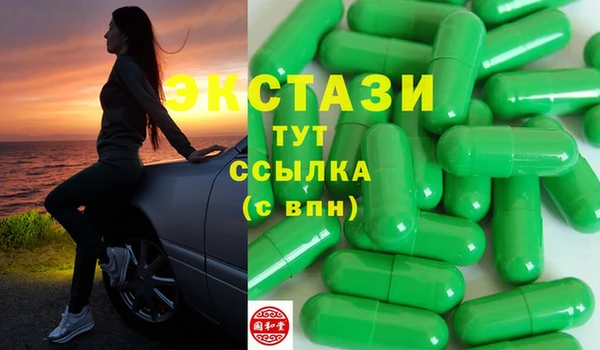стафф Гусев