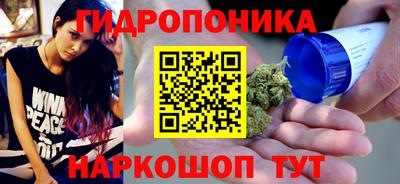 МДПВ Дубна