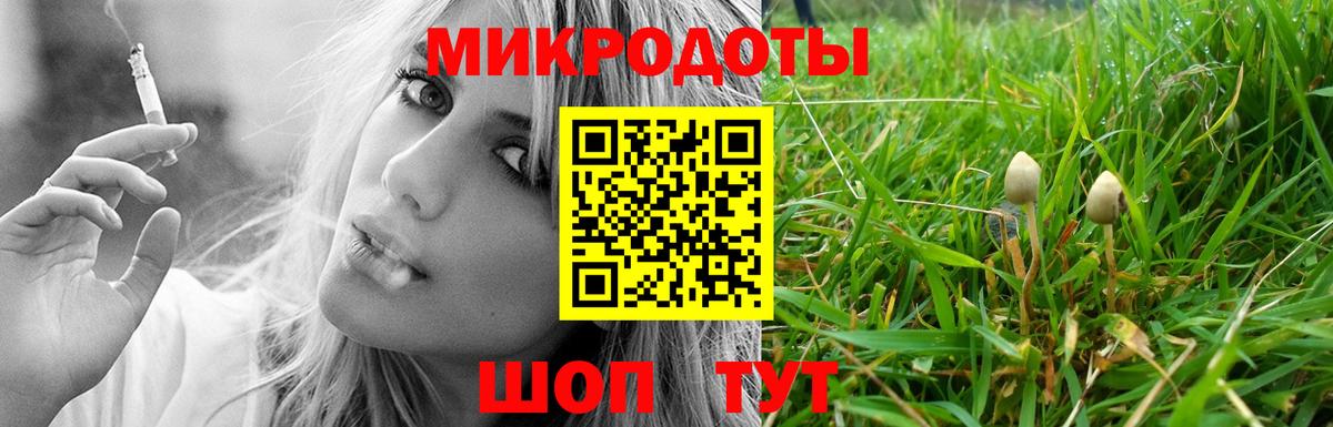 Похвистнево  Псилоцибиновые грибы Cubensis  Псилоцибиновые грибы мухоморы  Вход с VPN 